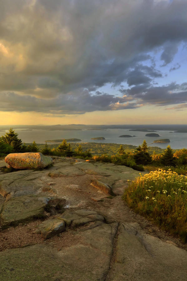 Summer Evening On Cadillac Mountain Photograph by Stephen Vecchiotti