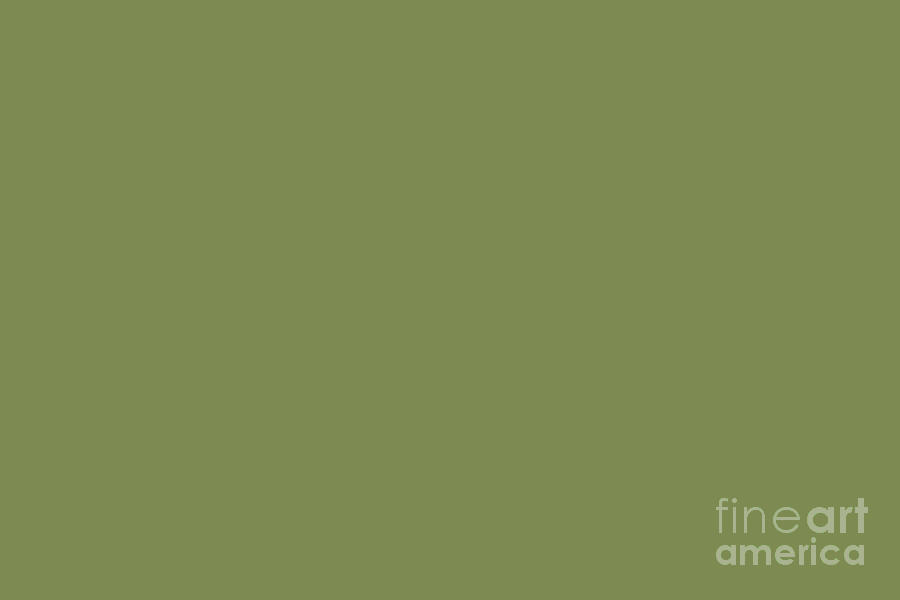 Summer Exploration Green Solid Color Pairs Farrow and Ball 2021 Color of the Year Sap Green W56 Digital Art by PIPA Fine Art - Simply Solid