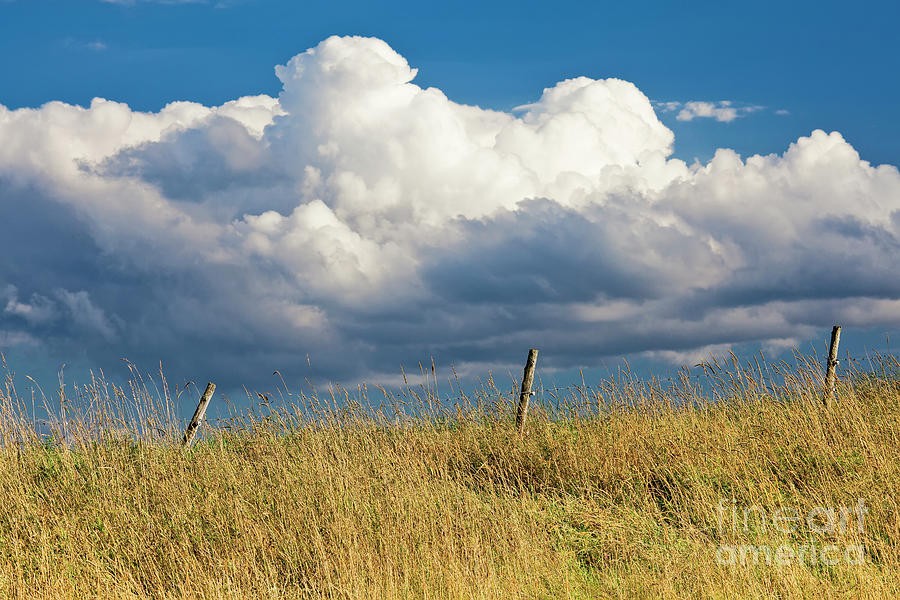 Summer Fence Line Photograph by Alan L Graham