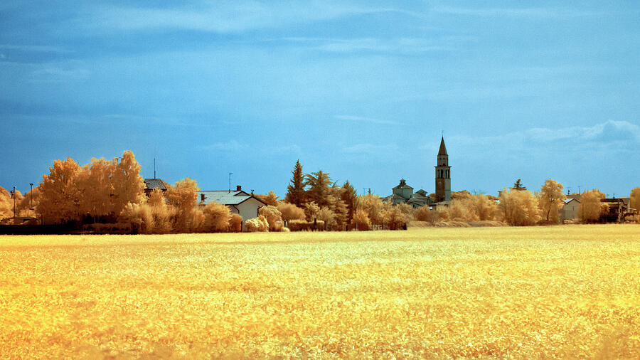 Summer field, panorama Photograph by Helga Novelli
