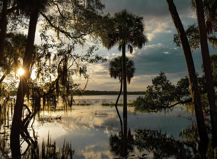 Landscape Photograph - Summer Floods by Mike Bouldin