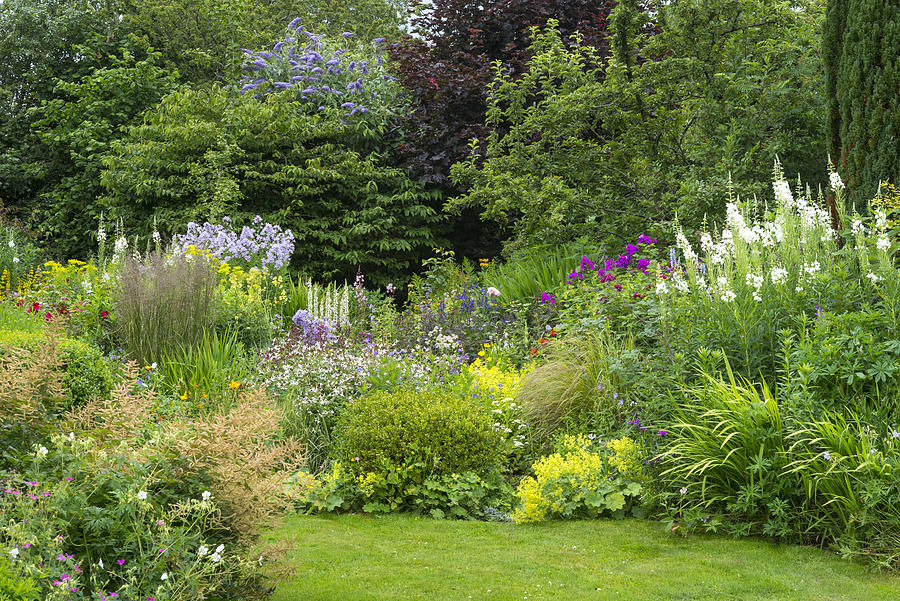 Summer flower border in full growth Photograph by Photos by R A Kearton