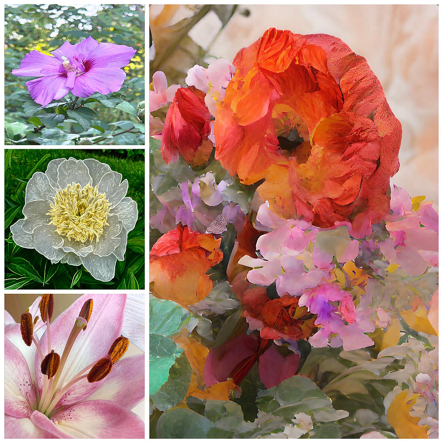 Summer Flower Collection Photograph by Diane Lindon Coy
