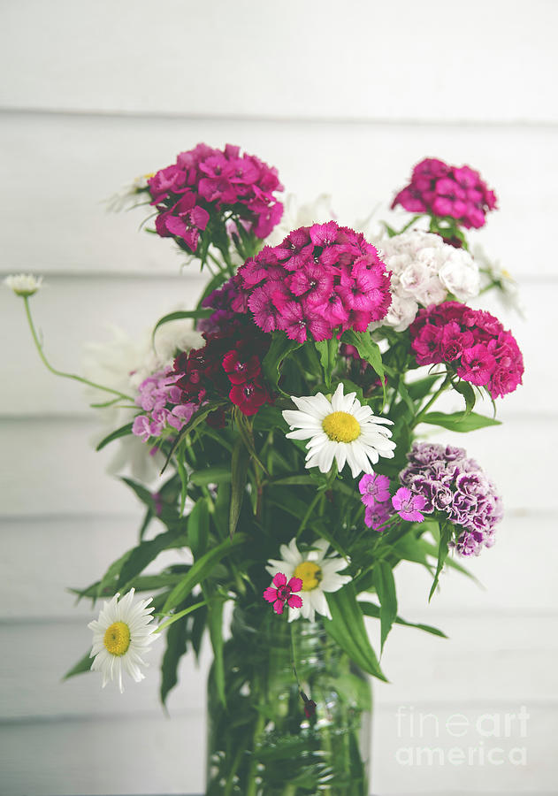 Flower Photograph - Summer Flowers by Alana Ranney