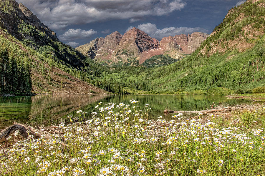 Summer Fresh at the Maroon Bells, Colorado Photograph by Marcy Wielfaert