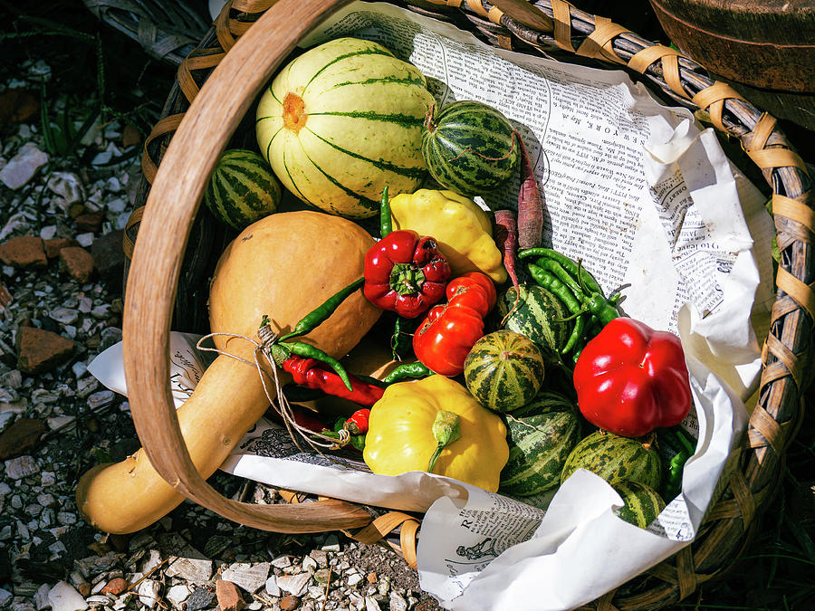 Summer Garden Basket Photograph by Rachel Morrison