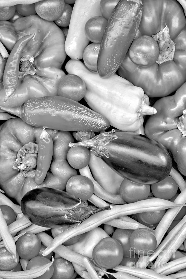 Summer Garden Harvest Portrait Black And White Photograph by Adam Jewell