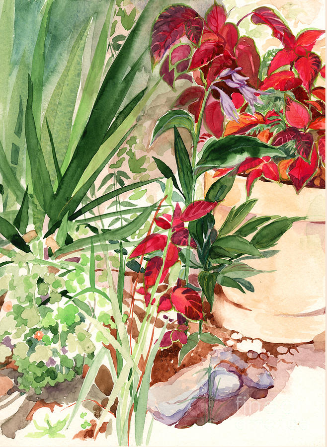 Summer garden Painting by Nancy Watson
