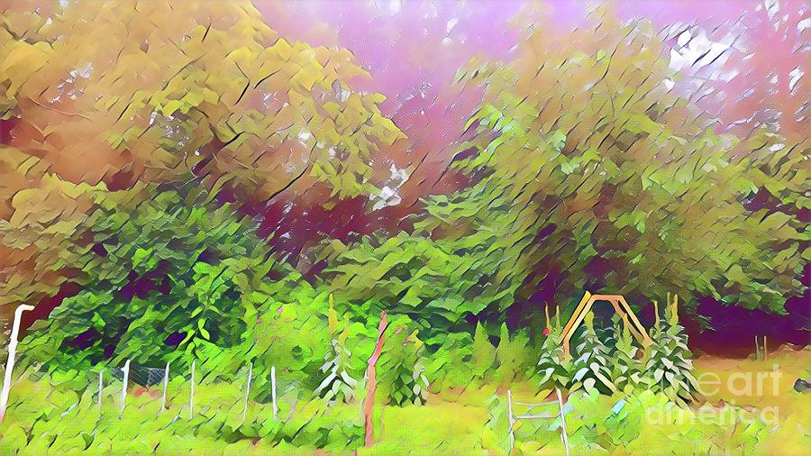 Summer Garden by Shelly Crutchley