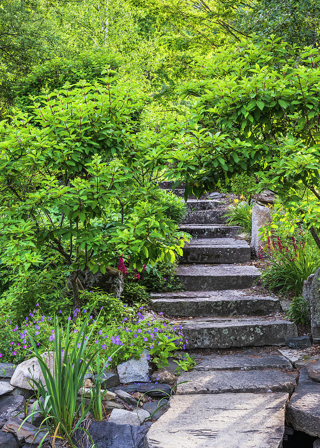 Summer Garden Stairway Photograph by Alan L Graham