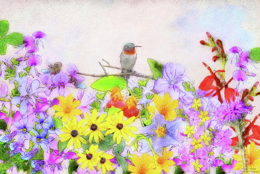 Hummingbird Heaven - 2 Mixed Media by Debbie Portwood