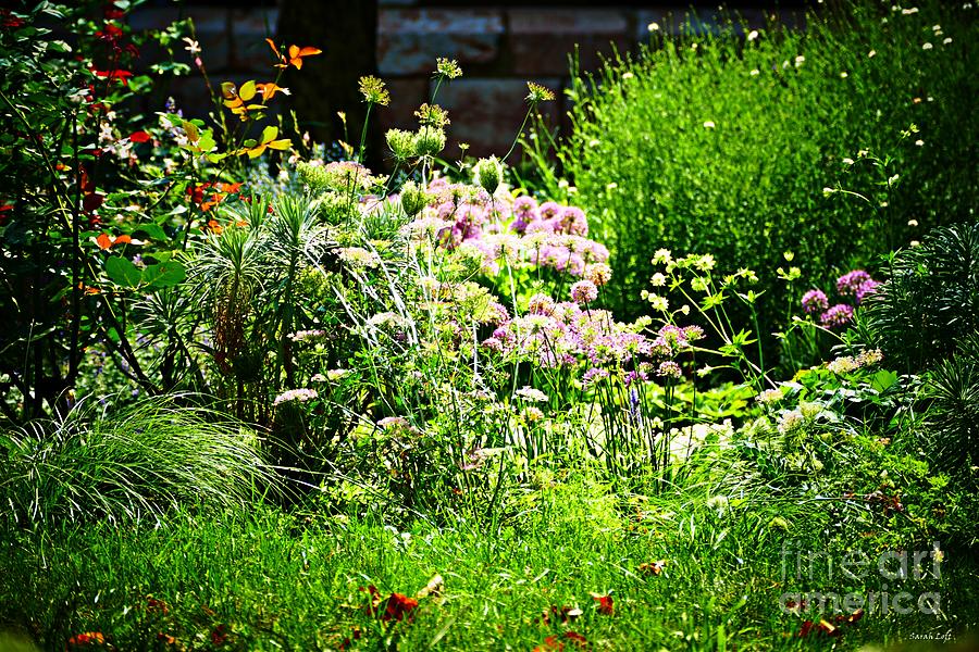 Garden Photograph - Summer Gardens at the Cloisters 12 by Sarah Loft