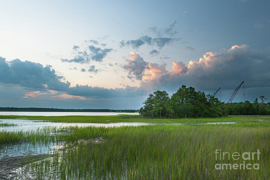 Summer Grass - Wando River Photograph by Dale Powell