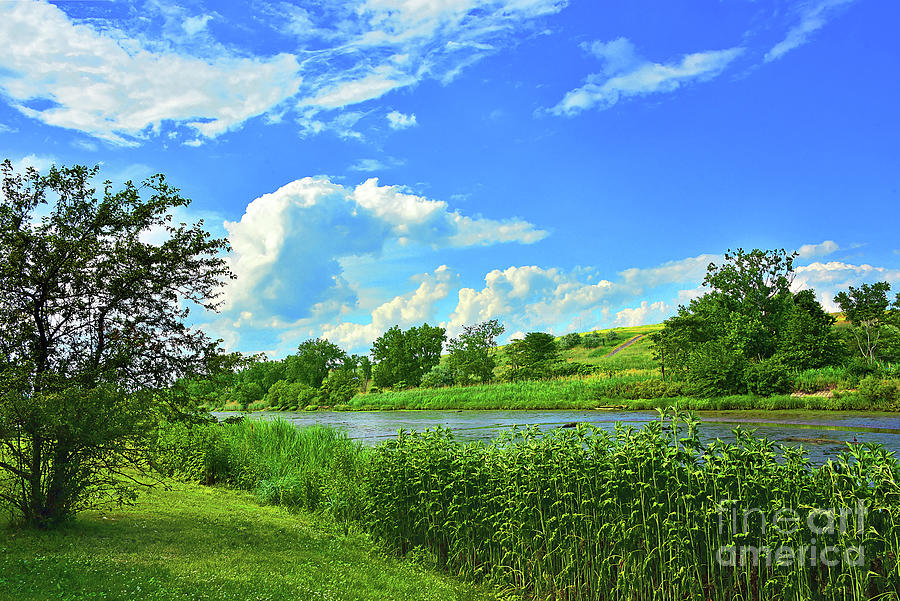 Summer Greenery And Blue Skies Landscape Photograph