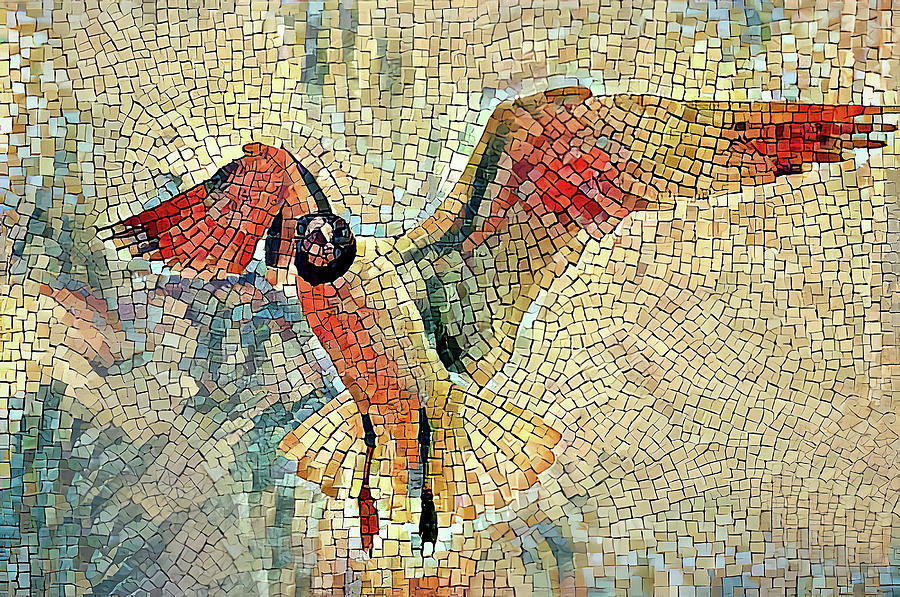 Summer Gull Mosaic Photograph by HH Photography of Florida