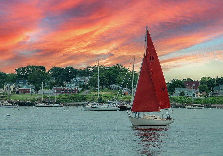 Summer Harbor of Rockland, Maine Photograph by Marcy Wielfaert