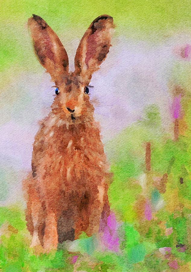 Summer Hare Mixed Media by Ann Leech