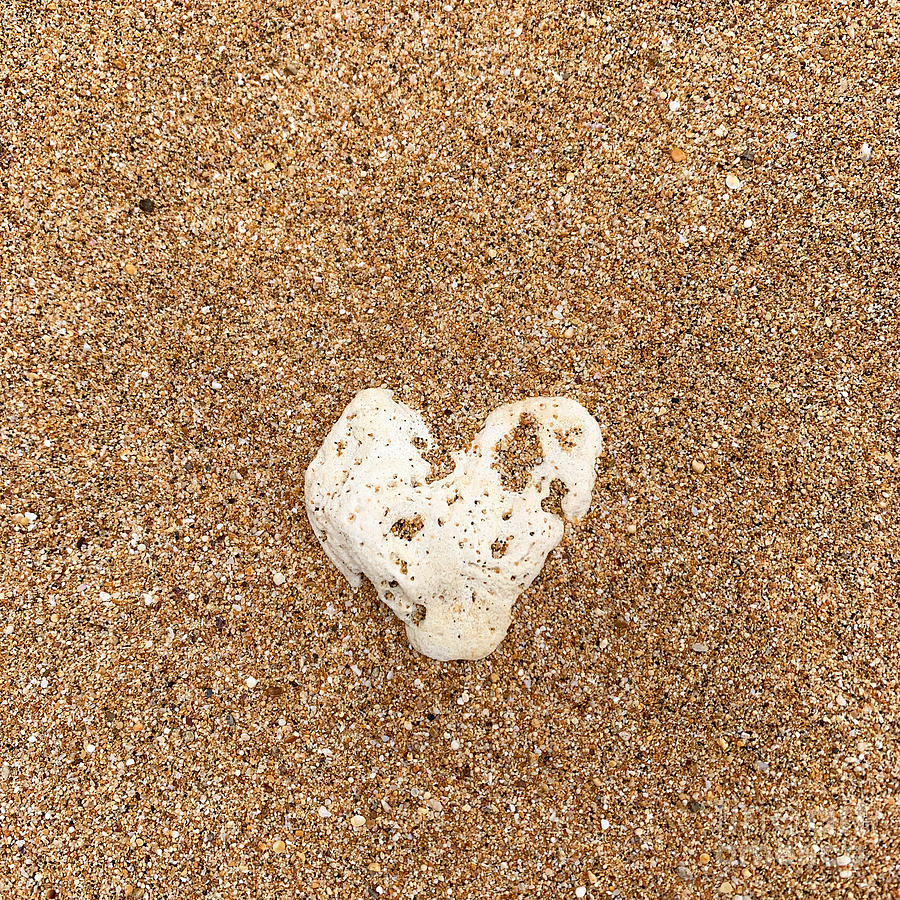 Yellow Sand Photograph - Summer Heart by Dorota Nowak