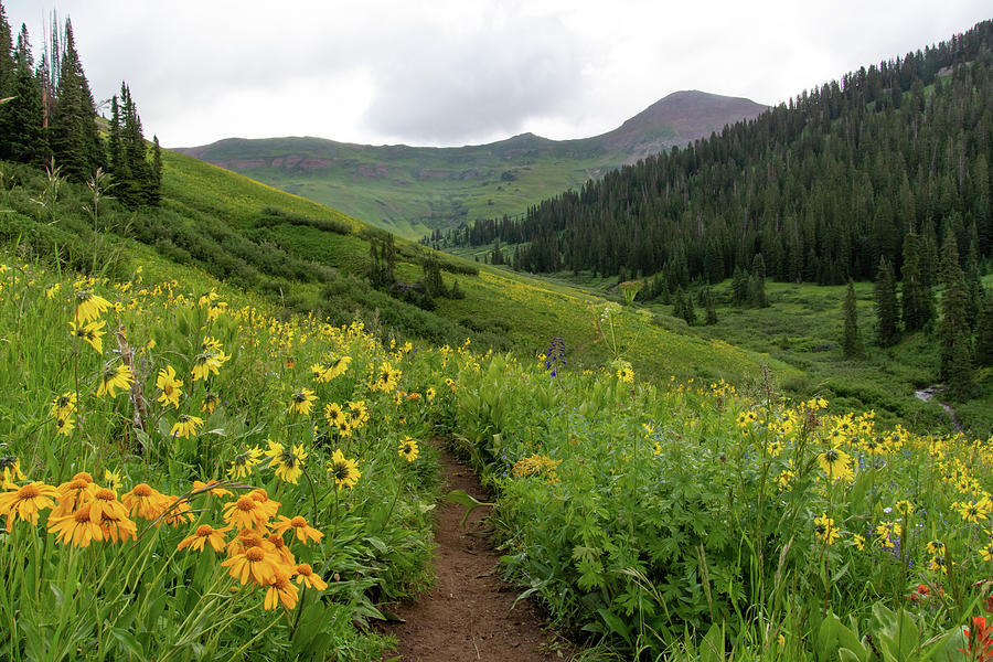 Summer Hiking in the Colorado Rocky Mountains Photograph by Cascade Colors