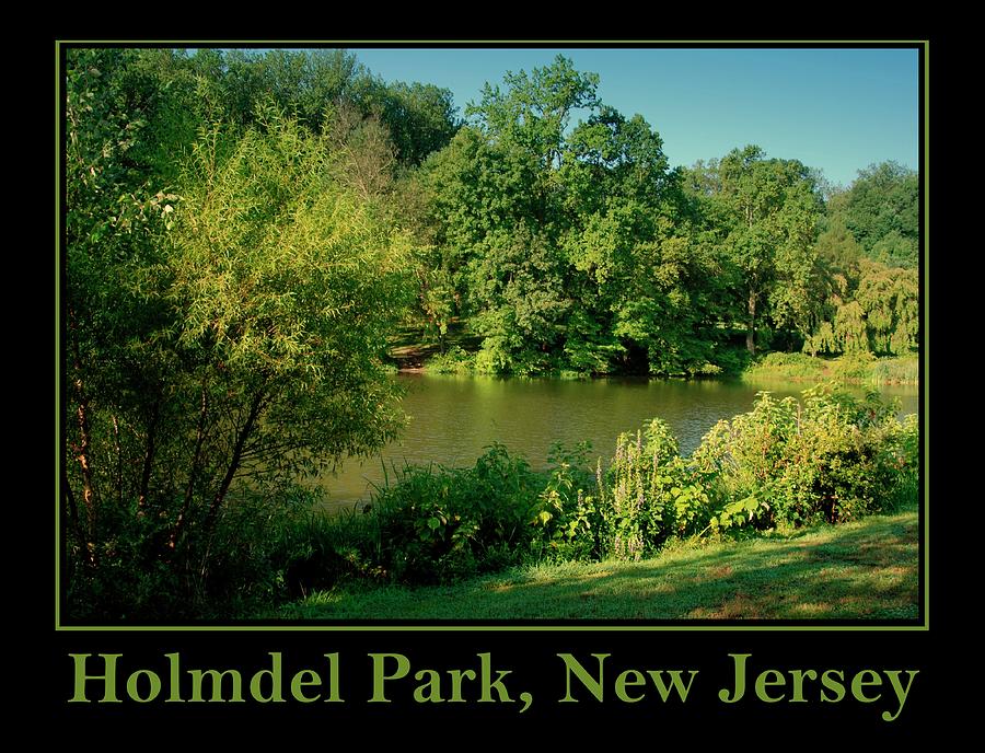 Summer Holmdel Park New Jersey Photograph by Angie Tirado