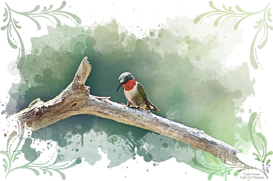 Summer Hummingbird perch 4 Mixed Media by Debbie Portwood
