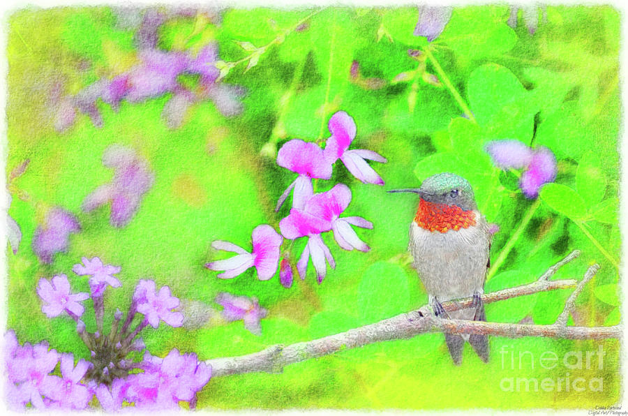 Summer Hummingbird with wildflowers Mixed Media by Debbie Portwood