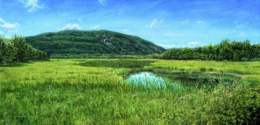 Summer in Acadia Painting by Shana Rowe Jackson