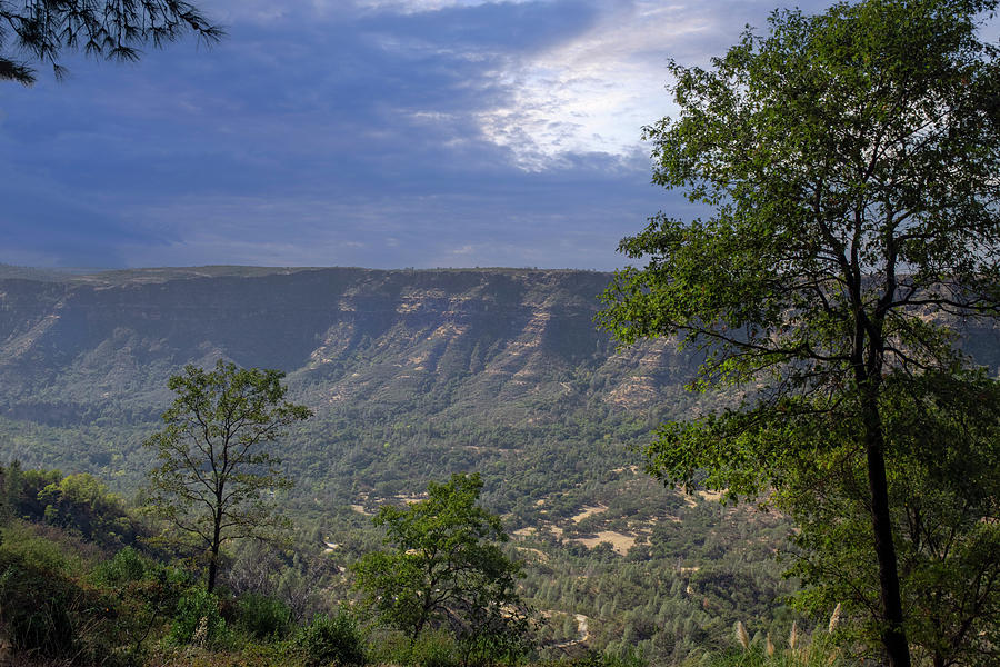 Summer in Butte Creek Canyon Photograph by Frank Wilson