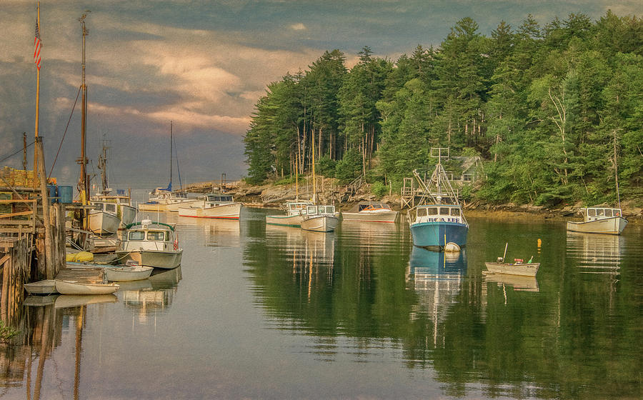 Summer in Maine Photograph by Marcy Wielfaert