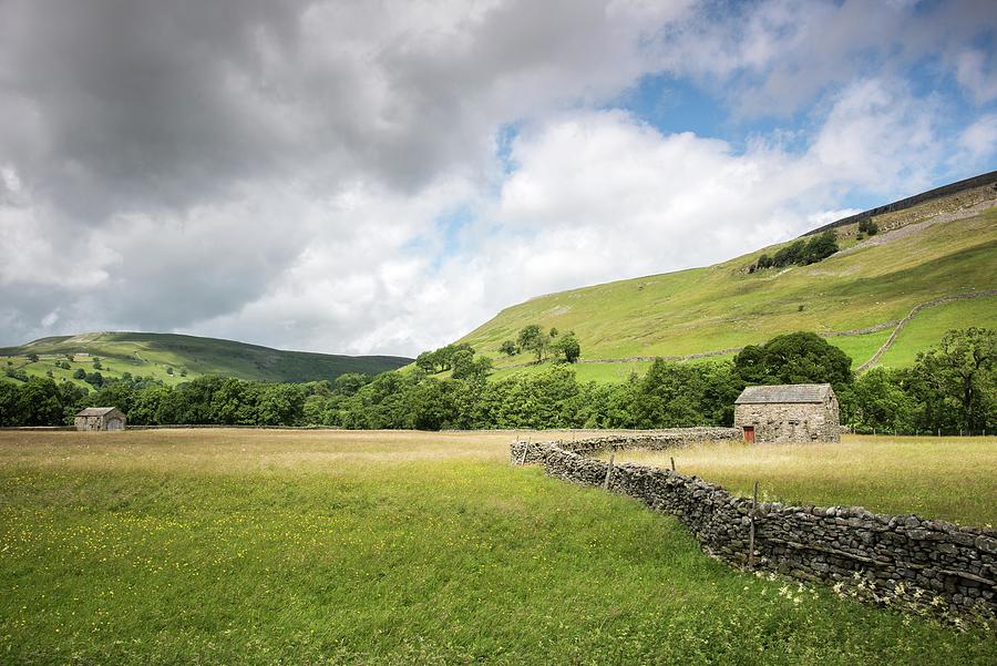 Summer in Muker Meadows, The Yorkshire Dales, England, UK Photograph by Sarah Howard