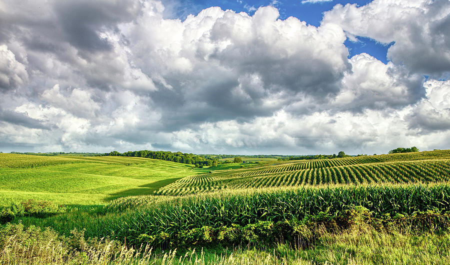 Summer in the Countryside Photograph by Mountain Dreams - Fine Art America