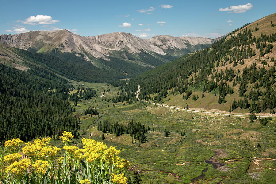 Summer in the Rockies of Colorado Photograph by Marcy Wielfaert