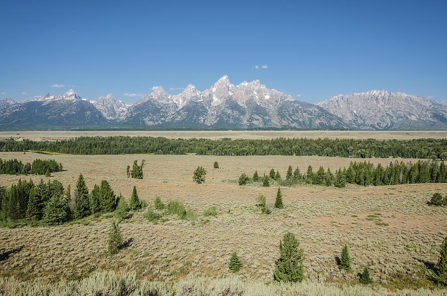 Summer in the Tetons Photograph by Margaret Pitcher
