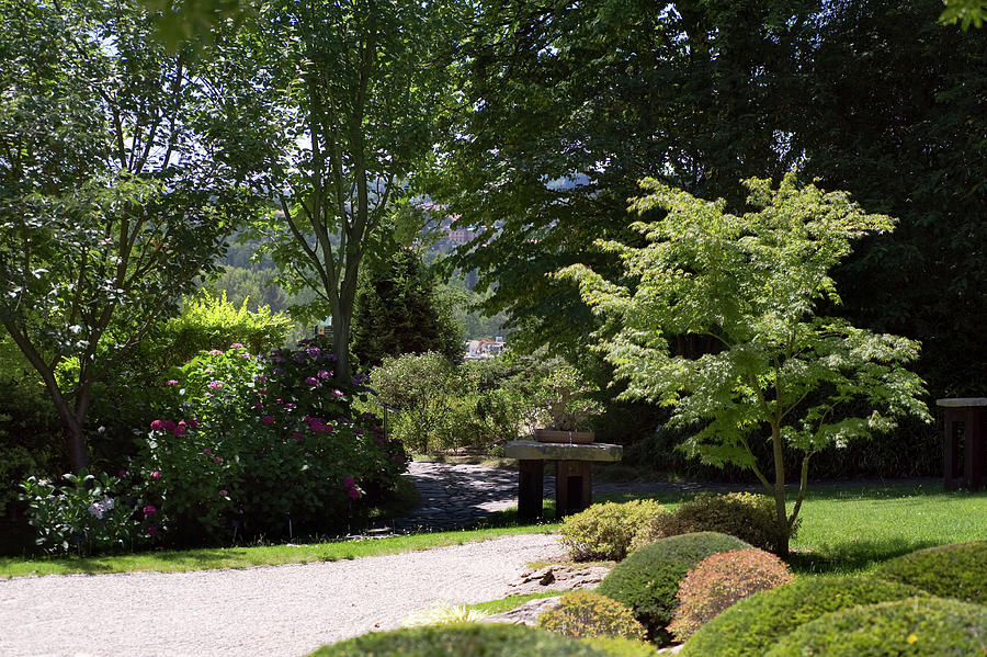 Summer Japanese Garden Photograph by Jenny Rainbow