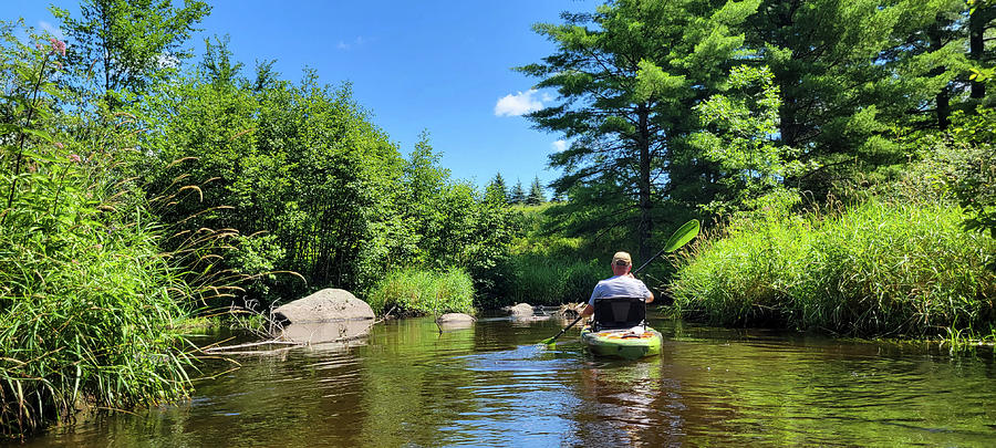 Summer Kayaking Photograph by Brook Burling