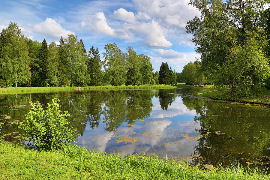 Summer Lake Landscape In Park Photograph by Mikhail Kokhanchikov