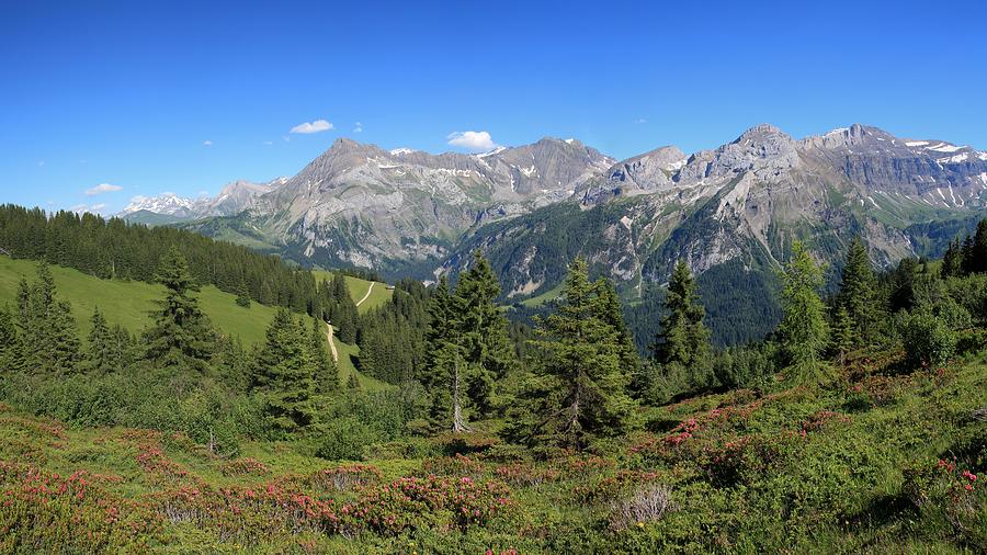 Summer landscape near Gstaad Photograph by Perreten
