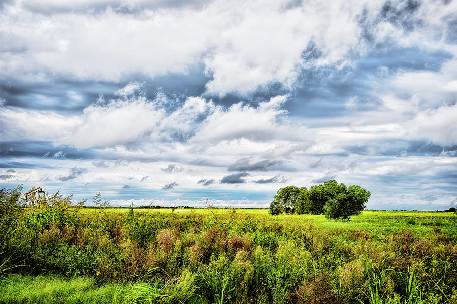 Summer Landscape With Clouds Photograph by Ann Powell