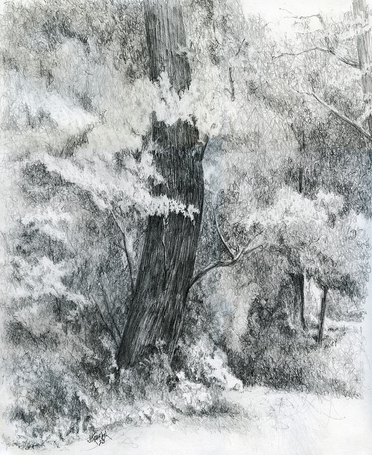 Summer Light II Drawing by Joel Keener Summer Light II Drawing by Joel Keener