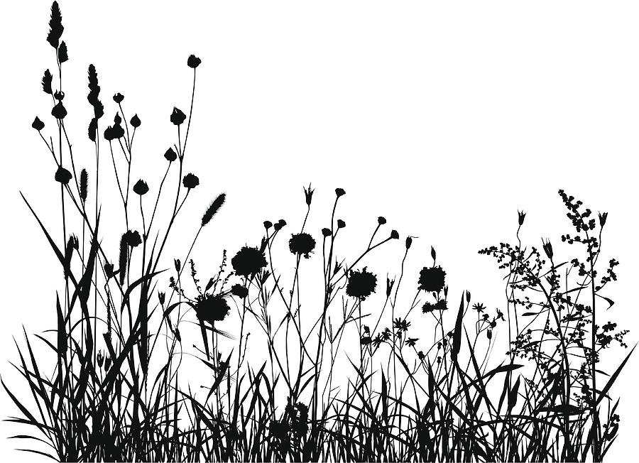 Summer Meadow Silhouette Drawing by JoeLena
