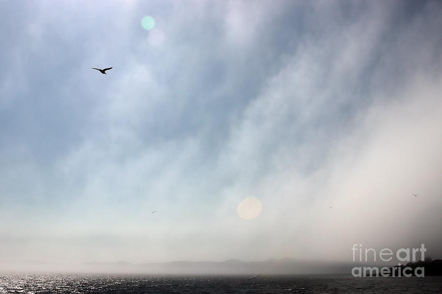 Summer Mist Photograph by Kimberly Furey