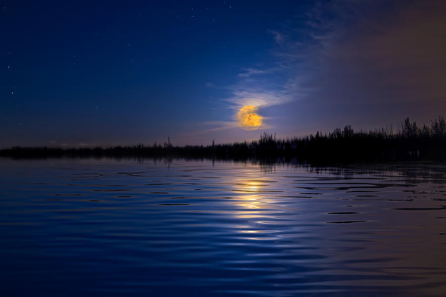 Summer Moon Photograph by Mark Andrew Thomas