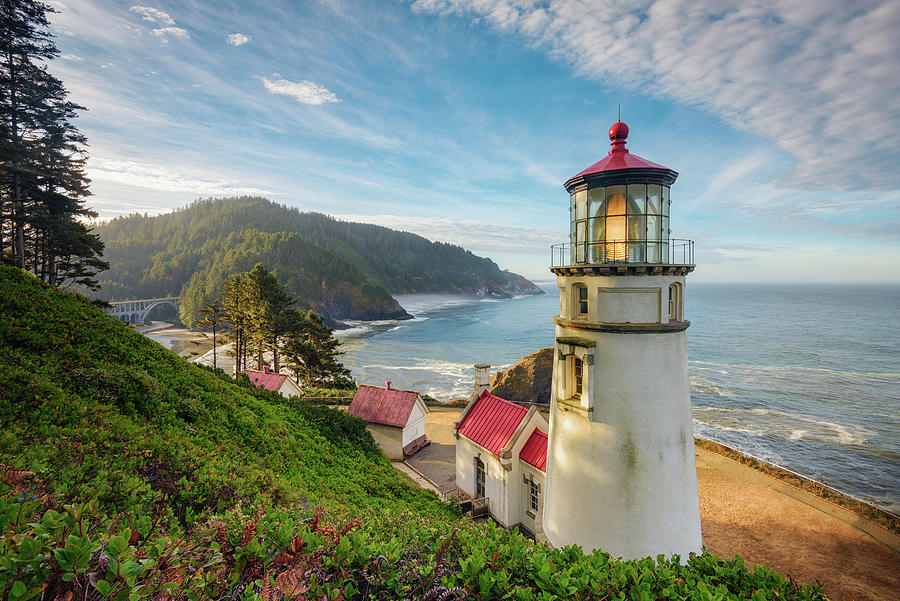 Nature Photograph - Summer Morning at Heceta Head Lighthouse by Kristen Wilkinson
