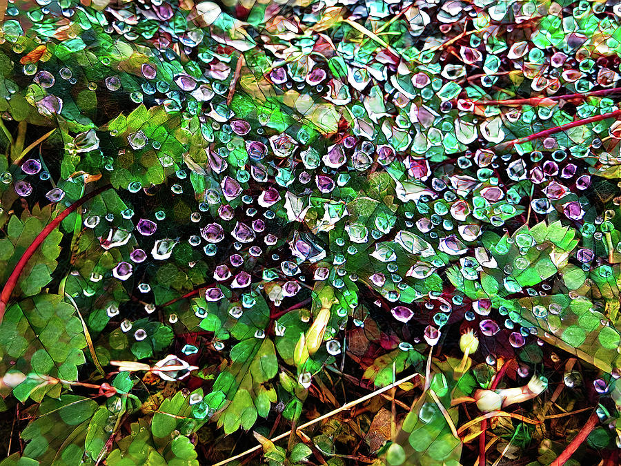 Summer Morning Beads in the Garden Digital Art by Tatiana Travelways