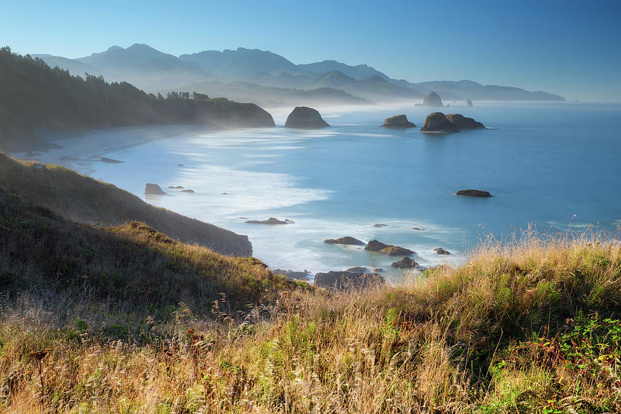 Summer Morning in Ecola State Park Photograph by Kristen Wilkinson