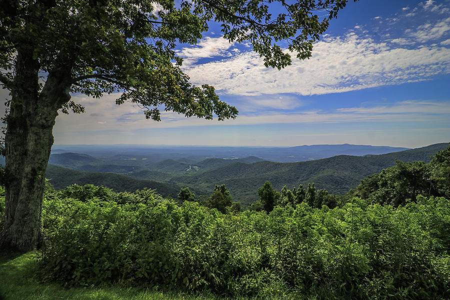 Summer morning on the Blue Ridge Parkway Photograph by Deb Beausoleil