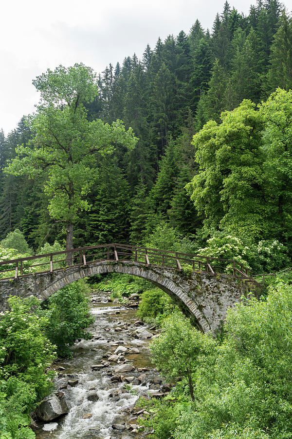Summer Mountain Vibe - Swift Rocky Stream Under an Old Stone Bridge Photograph by Georgia Mizuleva