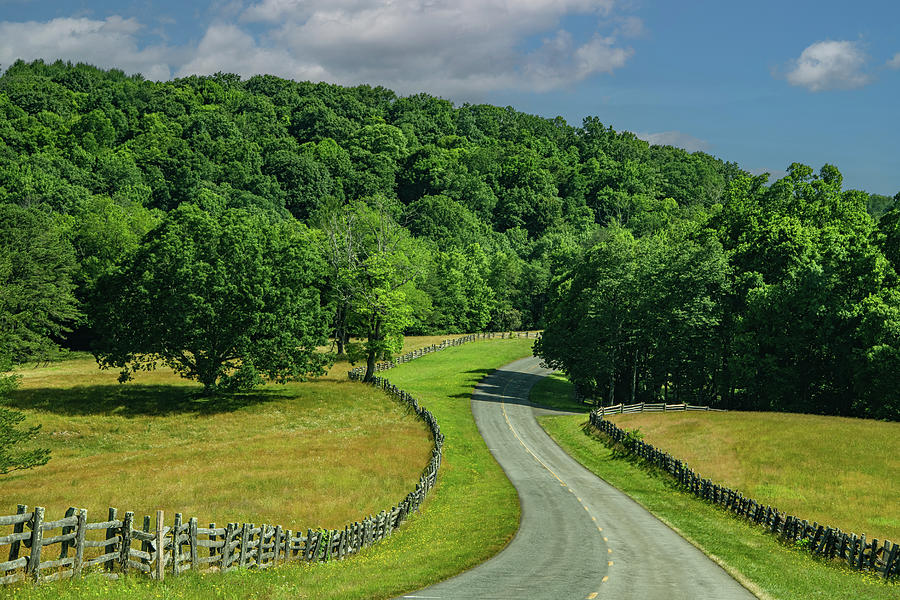 Summer on the Blue Ridge Parkway Photograph by Marcy Wielfaert