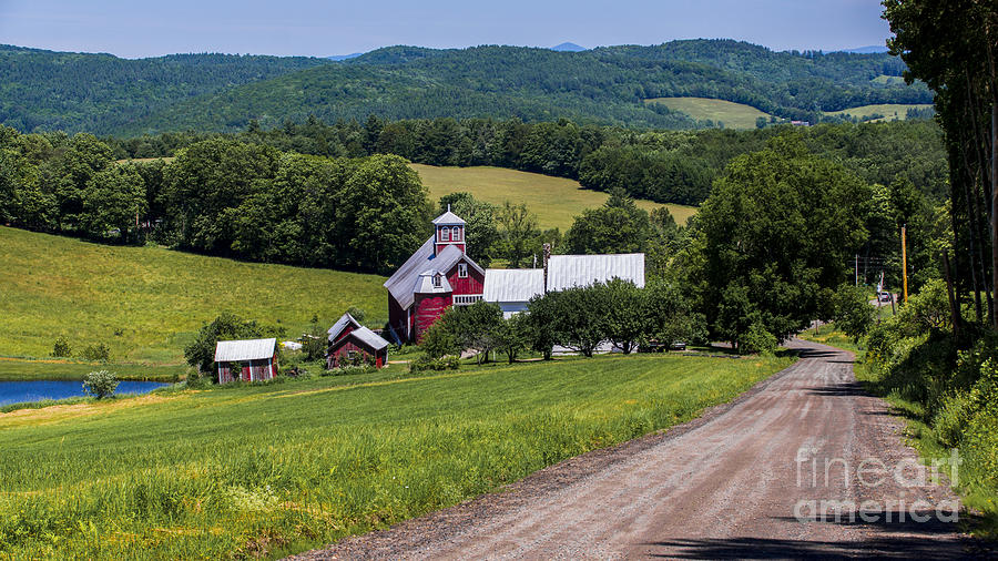 Summer on the farm Photograph by New England Photography