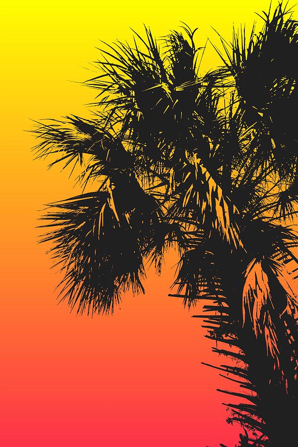 Summer Palms Pop Art Retro Digital Art by Dan Sproul